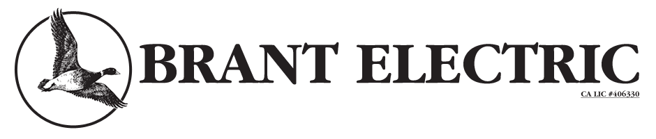 Brant Electic Logo