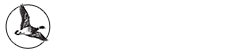 Brant Electic Logo